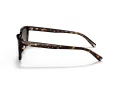 Coach C6196 Sonnenbrille HC 8328U 512003