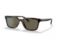 Coach C6196 Sonnenbrille HC 8328U 512003