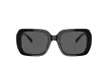 Coach C6188 Sonnenbrille HC 8329U 500287