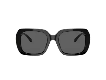 Coach C6188 Sonnenbrille HC 8329U 500287