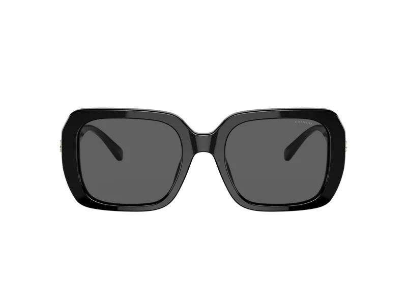 Coach C6188 Sonnenbrille HC 8329U 500287