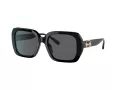 Coach C6188 Sonnenbrille HC 8329U 500287