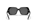 Coach C6188 Sonnenbrille HC 8329U 500287