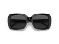 Coach C6188 Sonnenbrille HC 8329U 500287