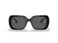 Coach C6188 Sonnenbrille HC 8329U 500287