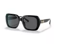 Coach C6188 Sonnenbrille HC 8329U 500287