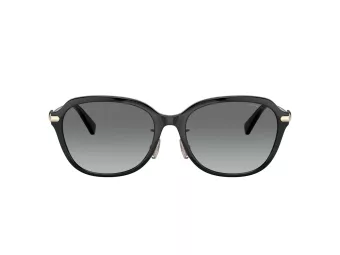 Coach C6199 Sonnenbrille HC 8332D 500211