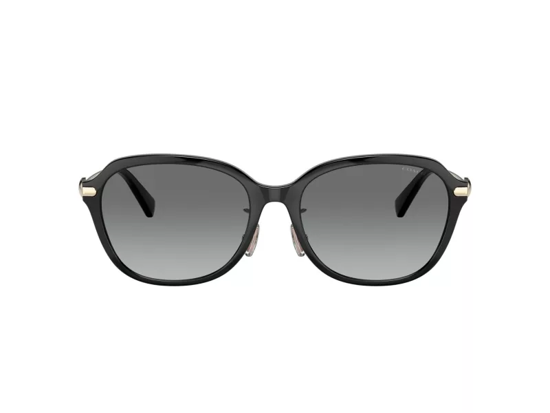 Coach C6199 Sonnenbrille HC 8332D 500211