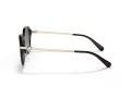 Coach C6199 Sonnenbrille HC 8332D 500211