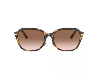 Coach C6199 Sonnenbrille HC 8332D 512013