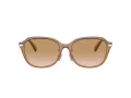 Coach C6199 Sonnenbrille HC 8332D 565413