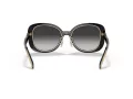 Coach C7995 Sonnenbrille 8333 50023C