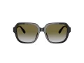 Coach C7989 Sonnenbrille HC 8335U 50027Z