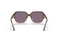 Coach C7989 Sonnenbrille HC 8335U 56781A
