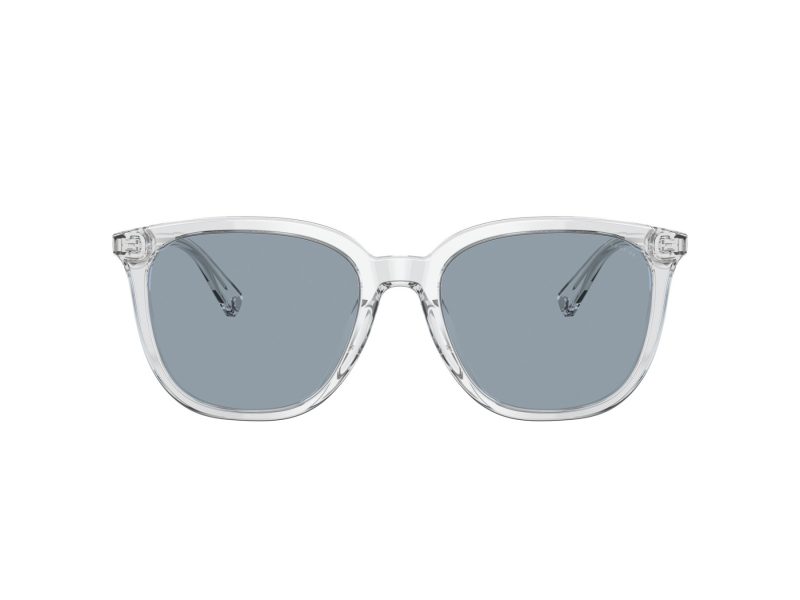 Coach C8006 Sonnenbrille HC 8338U 511172