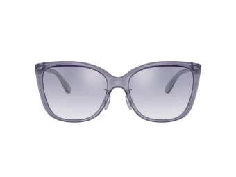 Coach C9206 Sonnenbrille HC 8345 56657B