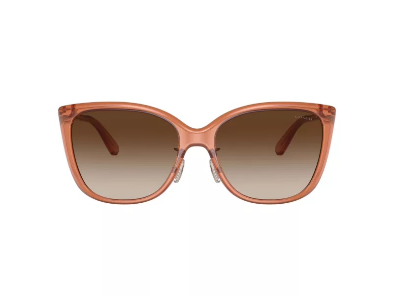 Coach C9206 Sonnenbrille HC 8345 570013