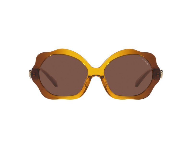 Coach C9200 Sonnenbrille HC 8346BU 57016G