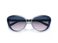 Coach Cd479 Sonnenbrille HC 8348U 57088H