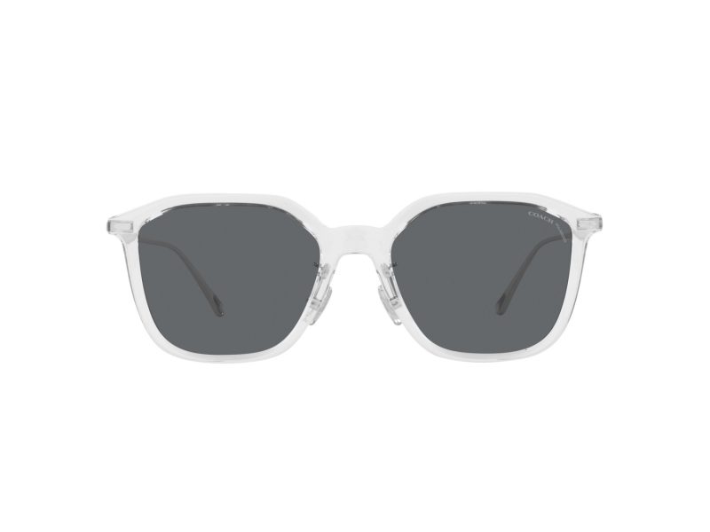 Coach Cd461 Sonnenbrille HC 8355 511181