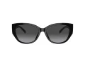 Coach Ch563 Sonnenbrille HC 8362U 50028G
