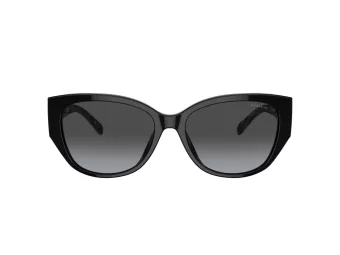 Coach Ch563 Sonnenbrille HC 8362U 50028G