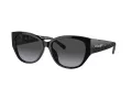 Coach Ch563 Sonnenbrille HC 8362U 50028G