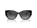 Coach Ch563 Sonnenbrille HC 8362U 50028G