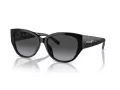 Coach Ch563 Sonnenbrille HC 8362U 50028G