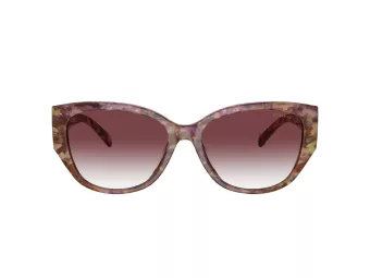 Coach Ch563 Sonnenbrille HC 8362U 57398H