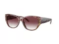 Coach Ch563 Sonnenbrille HC 8362U 57398H