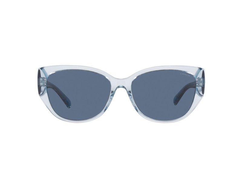 Coach Ch563 Sonnenbrille HC 8362U 574080