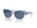 Coach Ch563 Sonnenbrille HC 8362U 574080