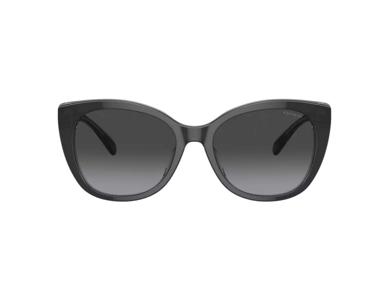 Coach Ch566 Sonnenbrille HC 8365U 57458G