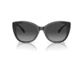Coach Ch566 Sonnenbrille HC 8365U 57458G