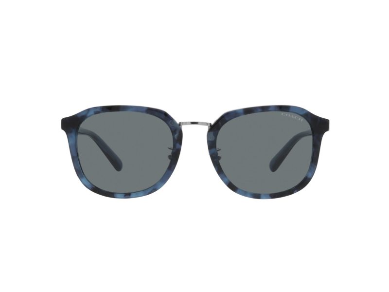 Coach Ch577 Sonnenbrille HC 8366 575480
