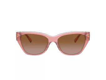 Coach Ch570 Sonnenbrille HC 8370U 574313