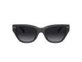 Coach Ch570 Sonnenbrille HC 8370U 5764T3