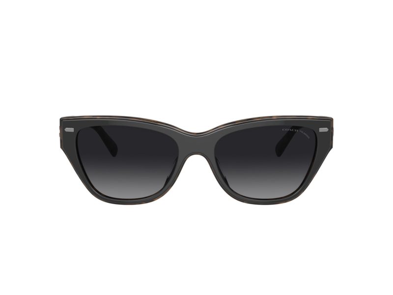 Coach Ch570 Sonnenbrille HC 8370U 5764T3