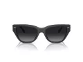 Coach Ch570 Sonnenbrille HC 8370U 5764T3