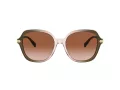 Coach Cl925 Sonnenbrille HC 8377U 540013