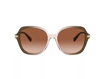 Coach Cl925 Sonnenbrille HC 8377U 540013