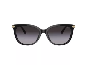 Coach Cl926 Sonnenbrille HC 8378U 50028G