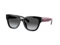 Coach Cl920 Sonnenbrille HC 8379U 5002T3