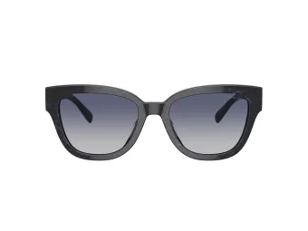 Coach Cl920 Sonnenbrille HC 8379U 57654L