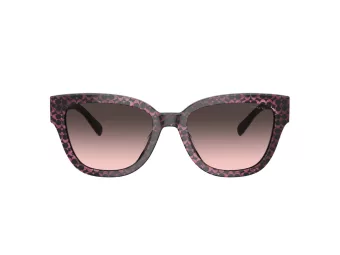 Coach Cl920 Sonnenbrille HC 8379U 578346