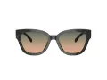 Coach Cl920 Sonnenbrille HC 8379U 578413