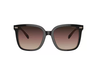 Coach Cl918 Sonnenbrille HC 8381U 5781E2