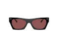 Coach Cl917 Sonnenbrille HC 8389U 572875
