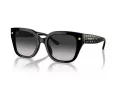 Coach Cr611 Sonnenbrille HC 8392U 50023C